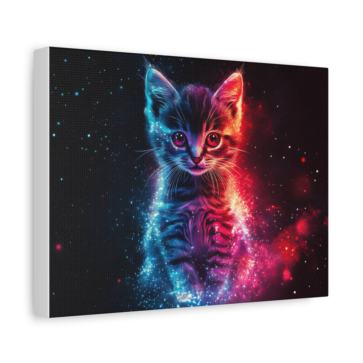 Tableau Chaton Galaxie
